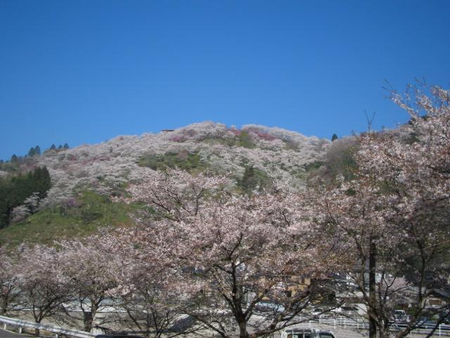 三休公園春まつり 岡山県北の生活情報 アットタウンwebマガジン