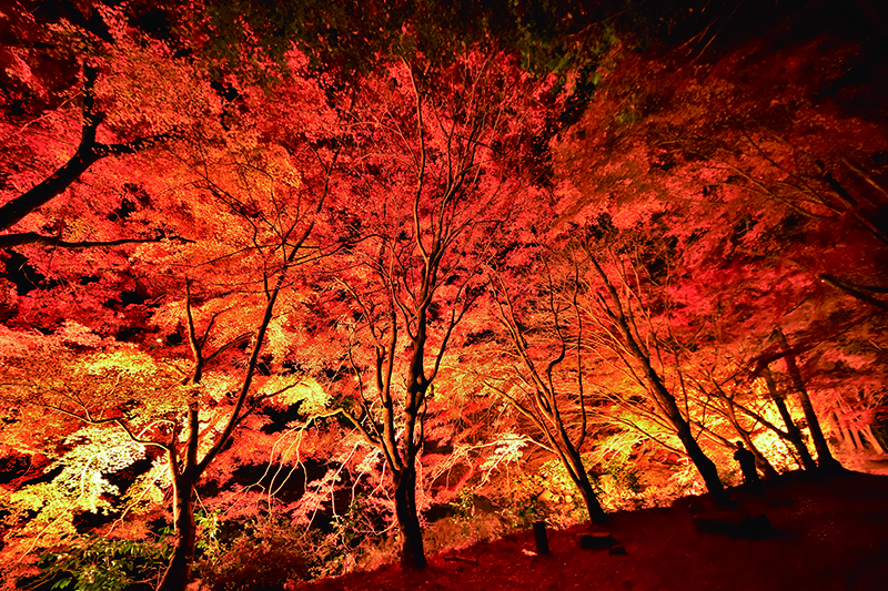 Noriko S Photo Exbition岡山県北19 紅葉名所 岡山県北の生活情報 アットタウンwebマガジン